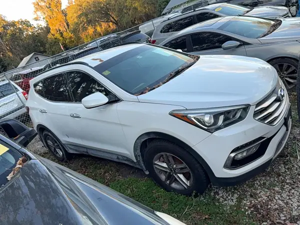 5NMZU3LB8HH019272 2017 HYUNDAI SANTA FE - Image 1