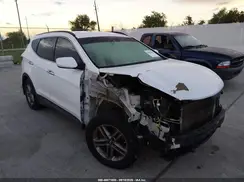 5NMZU3LBXHH025980 2017 HYUNDAI SANTA FE