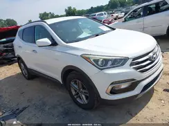 5NMZUDLB2HH019273 2017 HYUNDAI SANTA FE
