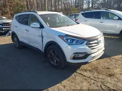 5NMZUDLB3HH002255 2017 HYUNDAI SANTA FE