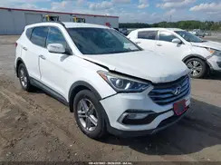 5NMZUDLB3HH003194 2017 HYUNDAI SANTA FE