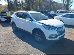 5NMZUDLB4HH029089 2017 HYUNDAI SANTA FE