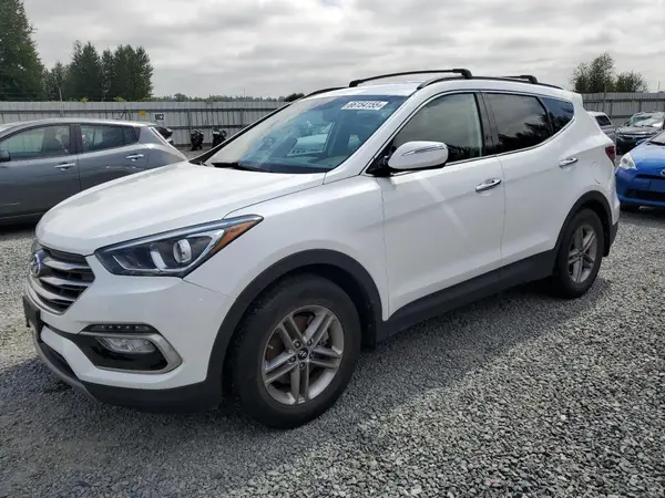 5NMZUDLB9HH017505 2017 HYUNDAI SANTA FE - Image 1