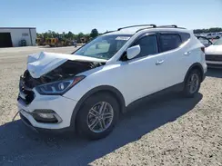 5NMZUDLB9HH019304 2017 HYUNDAI SANTA FE