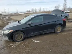 5NPD74LF0HH110954 2017 HYUNDAI ELANTRA