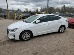 5NPD74LF0LH502163 2020 HYUNDAI ELANTRA