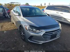 5NPD74LF1HH043412 2017 HYUNDAI ELANTRA