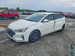 5NPD74LF1KH490619 2019 HYUNDAI ELANTRA