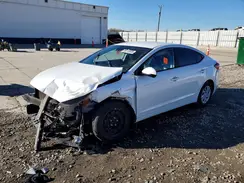 5NPD74LF1LH539156 2020 HYUNDAI ELANTRA