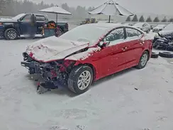 5NPD74LF2HH164787 2017 HYUNDAI ELANTRA
