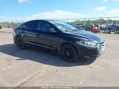 5NPD74LF3HH076363 2017 HYUNDAI ELANTRA