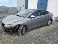 5NPD74LF3HH144239 2017 HYUNDAI ELANTRA