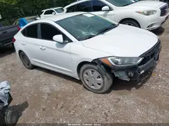 5NPD74LF3HH179704 2017 HYUNDAI ELANTRA