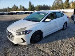 5NPD74LF3HH191903 2017 HYUNDAI ELANTRA