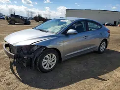 5NPD74LF4HH044537 2017 HYUNDAI ELANTRA