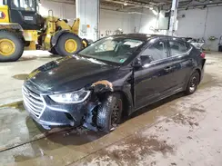 5NPD74LF4HH047826 2017 HYUNDAI ELANTRA