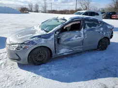 5NPD74LF4HH181381 2017 HYUNDAI ELANTRA