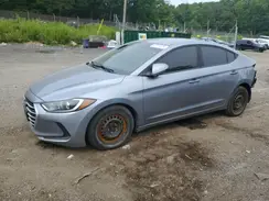 5NPD74LF4HH182854 2017 HYUNDAI ELANTRA
