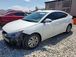 5NPD74LF4KH480277 2019 HYUNDAI ELANTRA
