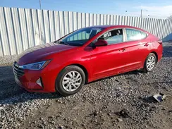 5NPD74LF4LH608664 2020 HYUNDAI ELANTRA