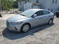 5NPD74LF5HH069902 2017 HYUNDAI ELANTRA