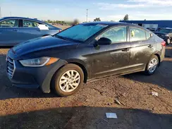 5NPD74LF5HH102171 2017 HYUNDAI ELANTRA