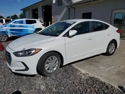 5NPD74LF5HH199680 2017 HYUNDAI ELANTRA