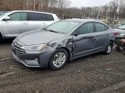 5NPD74LF5KH427202 2019 HYUNDAI ELANTRA