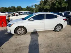 5NPD74LF5KH433033 2019 HYUNDAI ELANTRA