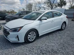 5NPD74LF5KH439544 2019 HYUNDAI ELANTRA