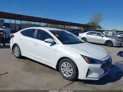 5NPD74LF5KH497136 2019 HYUNDAI ELANTRA