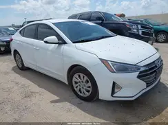 5NPD74LF5LH603666 2020 HYUNDAI ELANTRA