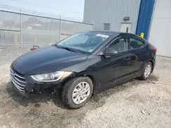 5NPD74LF6HH051487 2017 HYUNDAI ELANTRA