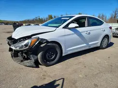 5NPD74LF6HH093559 2017 HYUNDAI ELANTRA