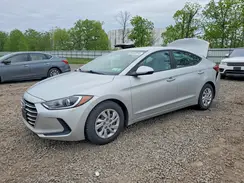 5NPD74LF6HH135387 2017 HYUNDAI ELANTRA