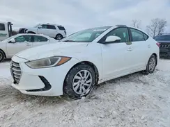 5NPD74LF6HH148981 2017 HYUNDAI ELANTRA