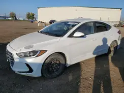 5NPD74LF6HH205695 2017 HYUNDAI ELANTRA