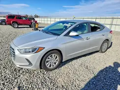 5NPD74LF7HH182248 2017 HYUNDAI ELANTRA