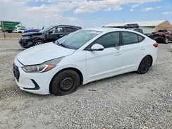 5NPD74LF7HH182816 2017 HYUNDAI ELANTRA
