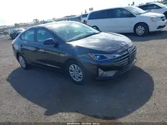 5NPD74LF7LH602891 2020 HYUNDAI ELANTRA