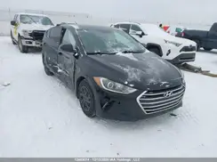 5NPD74LF8HH117375 2017 HYUNDAI ELANTRA