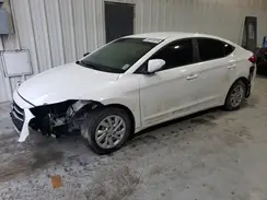 5NPD74LF8HH192917 2017 HYUNDAI ELANTRA