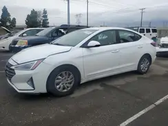 5NPD74LF8KH443362 2019 HYUNDAI ELANTRA