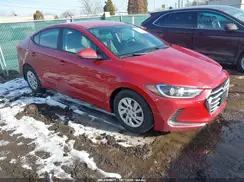 5NPD74LFXHH065537 2017 HYUNDAI ELANTRA