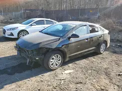 5NPD74LFXHH066607 2017 HYUNDAI ELANTRA