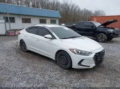 5NPD74LFXHH135568 2017 HYUNDAI ELANTRA