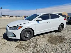 5NPD74LFXHH176007 2017 HYUNDAI ELANTRA