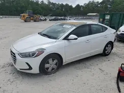 5NPD74LFXHH178565 2017 HYUNDAI ELANTRA