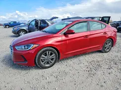 5NPD84LF0HH117562 2017 HYUNDAI ELANTRA