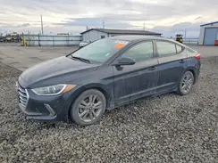 5NPD84LF0HH142350 2017 HYUNDAI ELANTRA